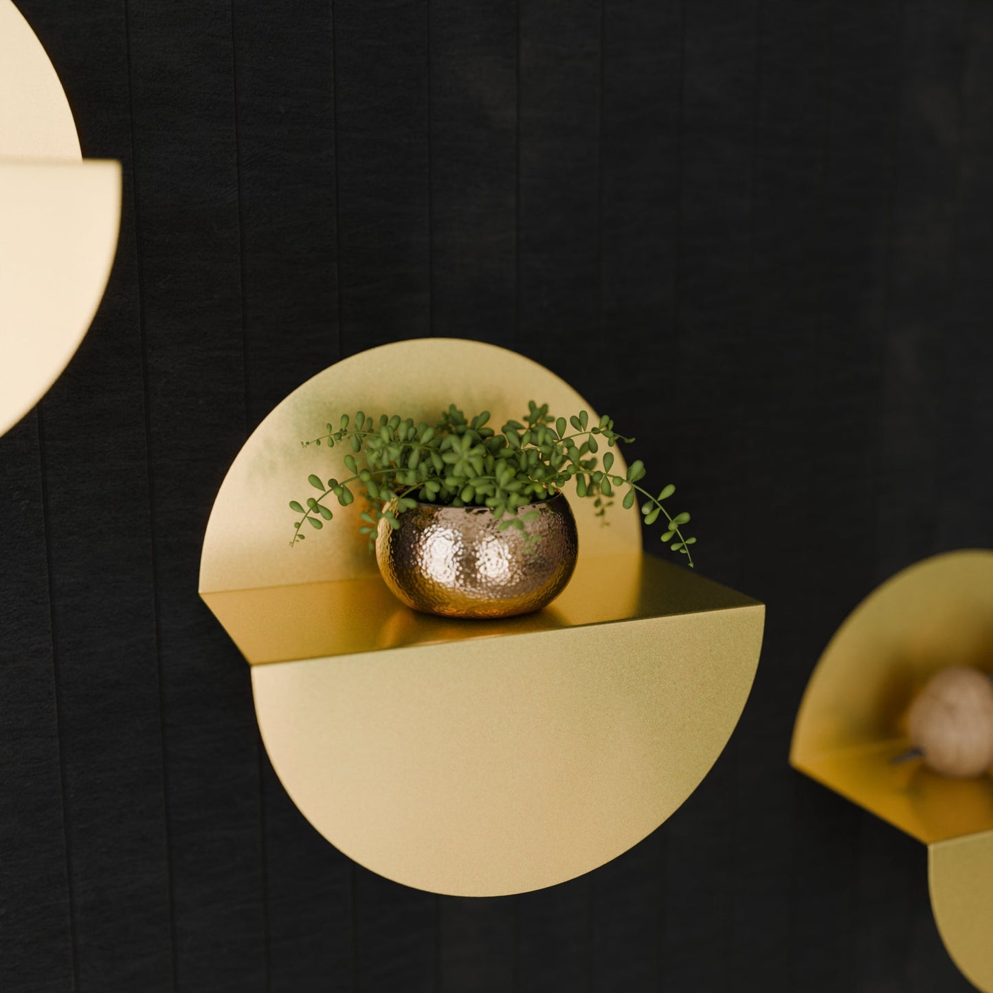 Minimalist Plant Metal Holder